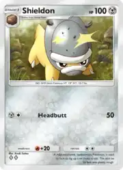 Shieldon