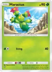 Maractus