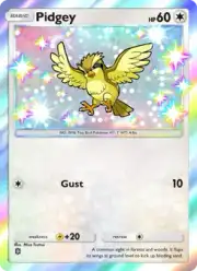 Pidgey