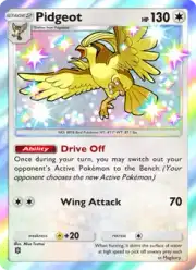 Pidgeot