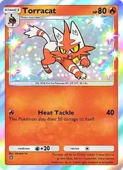 Torracat