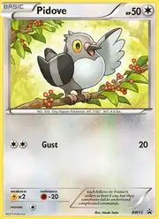 Pidove