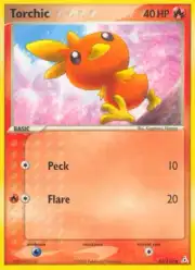 Torchic