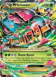 M Venusaur EX