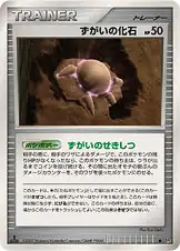ずがいの化石