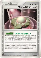 ずがいの化石