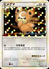 ヒメグマ