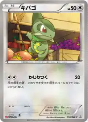 キバゴ