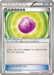 しんかのきせき