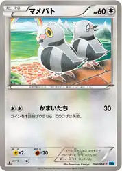 マメパト