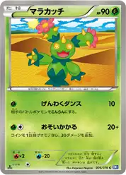 マラカッチ