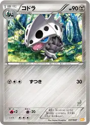コドラ