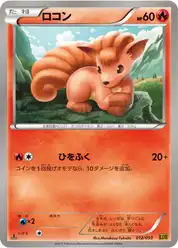 ロコン