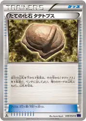 たての化石 タテトプス