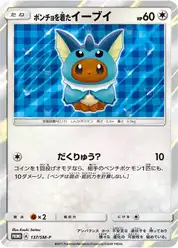 ポンチョを着たイーブイ (Иви)