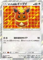 ポンチョを着たイーブイ (Иви)