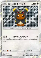 ポンチョを着たイーブイ (Иви)
