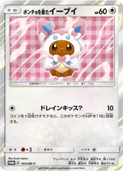 ポンチョを着たイーブイ (Иви)