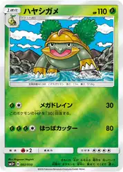 ハヤシガメ