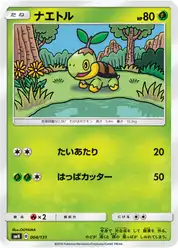 ナエトル