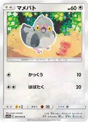 マメパト