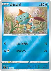 カムカメ