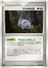ツメの化石