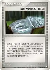 なにかの化石