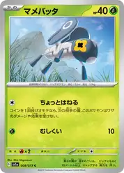 マメバッタ