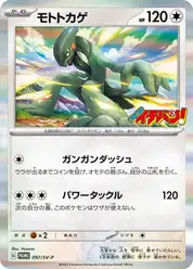 モトトカゲ