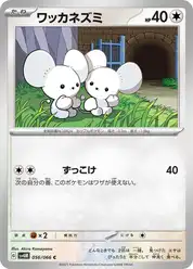 ワッカネズミ
