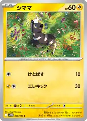 シママ