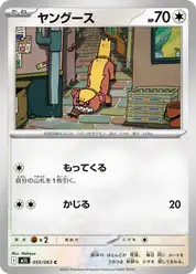 ヤングース