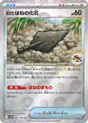 古びたはねの化石
