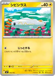 シビシラス