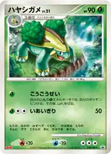 ハヤシガメ
