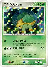 ハヤシガメ