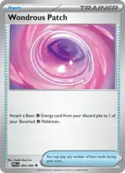 Wondrous Patch
