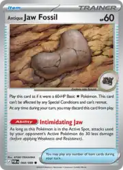 Antique Jaw Fossil