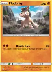 Mudbray