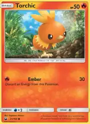 Torchic