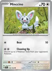 Minccino