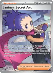 Janine's Secret Art