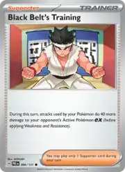 Black Belt's Training