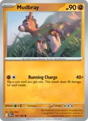 Mudbray