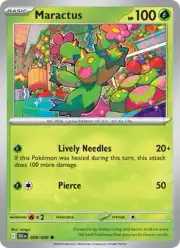 Maractus